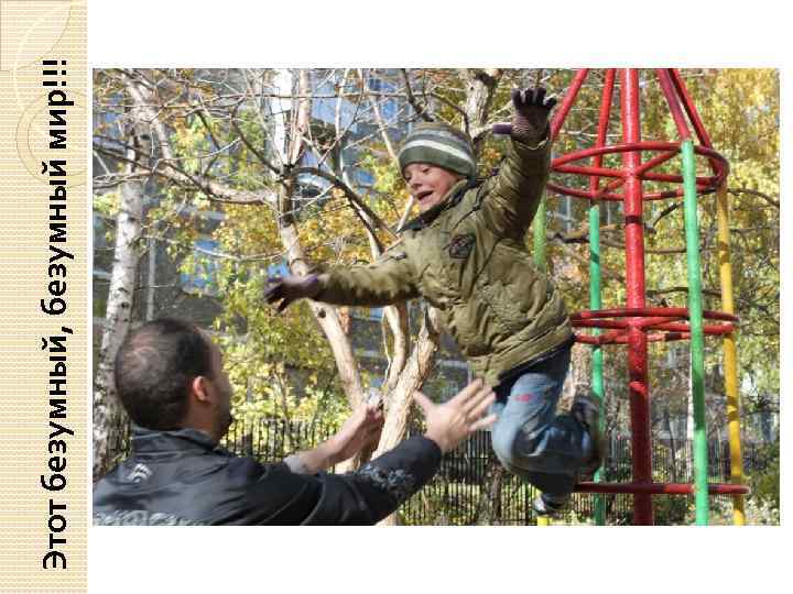 Этот безумный, безумный мир!!! 