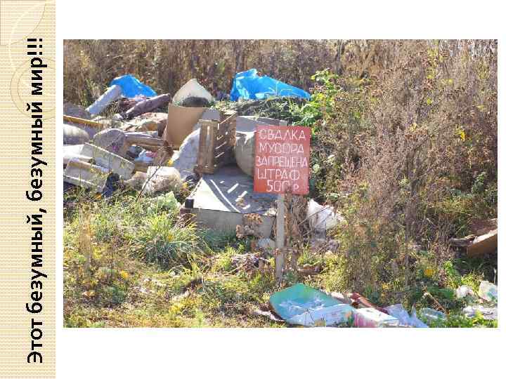 Этот безумный, безумный мир!!! 