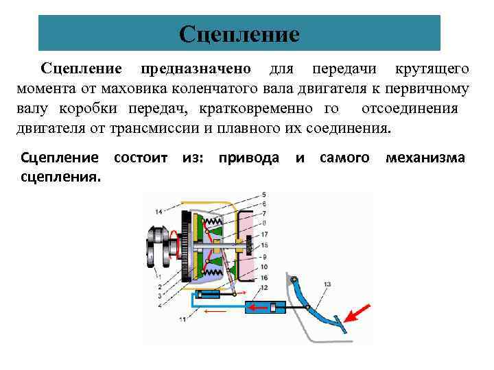 Сцепление предназначено для передачи крутящего момента от маховика коленчатого вала двигателя к первичному валу