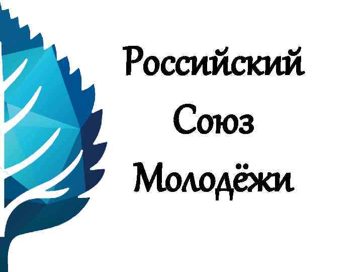 Проекты российского союза молодежи