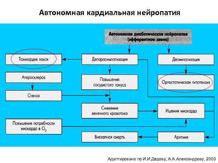 Автономная кардиальная нейропатия Адаптировано по И. И. Дедову, А. А. Александрову, 2003 