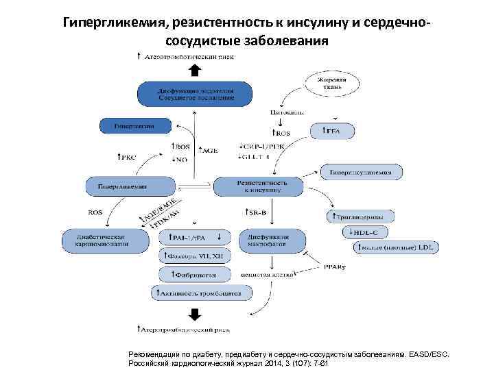 Гипергликемия, резистентность к инсулину и сердечнососудистые заболевания Рекомендации по диабету, предиабету и сердечно-сосудистым заболеваниям.