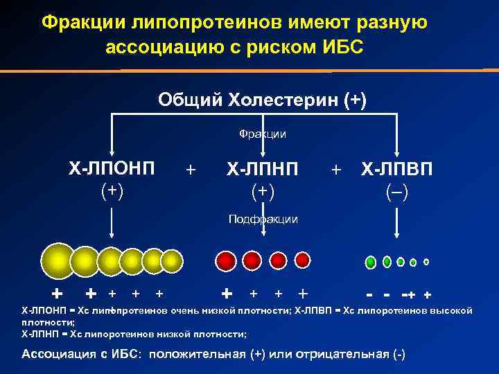 Фракции липопротеинов имеют разную ассоциацию с риском ИБС Общий Холестерин (+) Фракции Х-ЛПОНП (+)