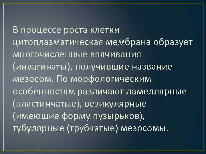 В процессе роста клетки цитоплазматическая мембрана образует многочисленные впячивания (инвагинаты), получившие название мезосом. По