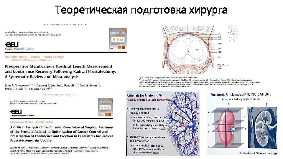 Теоретическая подготовка хирурга 