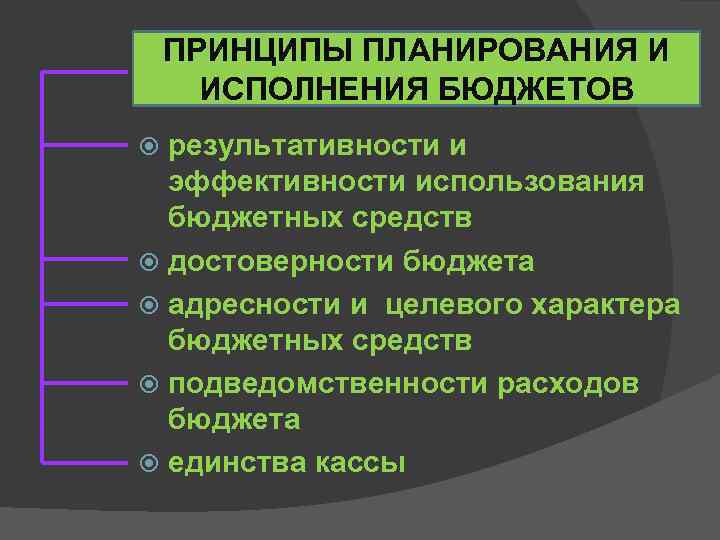 ПРИНЦИПЫ ПЛАНИРОВАНИЯ И ИСПОЛНЕНИЯ БЮДЖЕТОВ результативности и эффективности использования бюджетных средств достоверности бюджета адресности