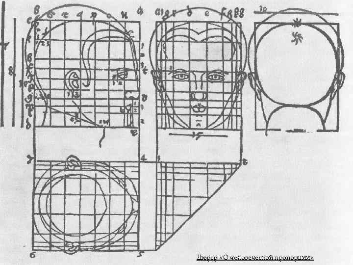 Дюрер «О человеческой пропорции» 