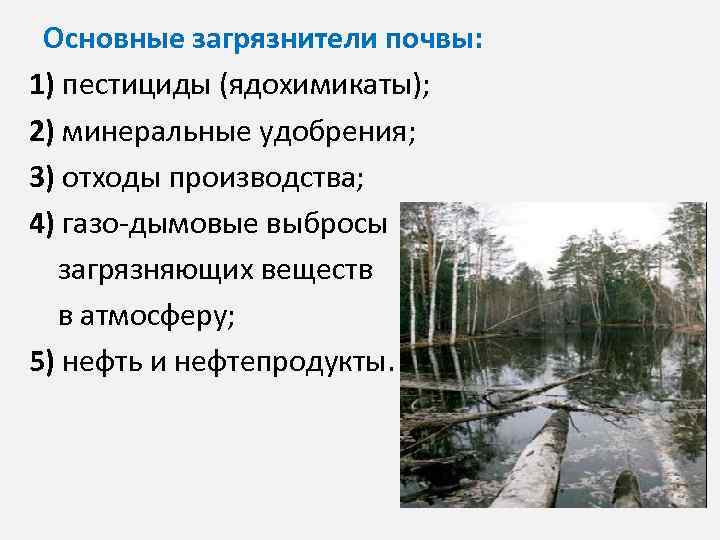 Основные загрязнители почвы: 1) пестициды (ядохимикаты); 2) минеральные удобрения; 3) отходы производства; 4) газо-дымовые