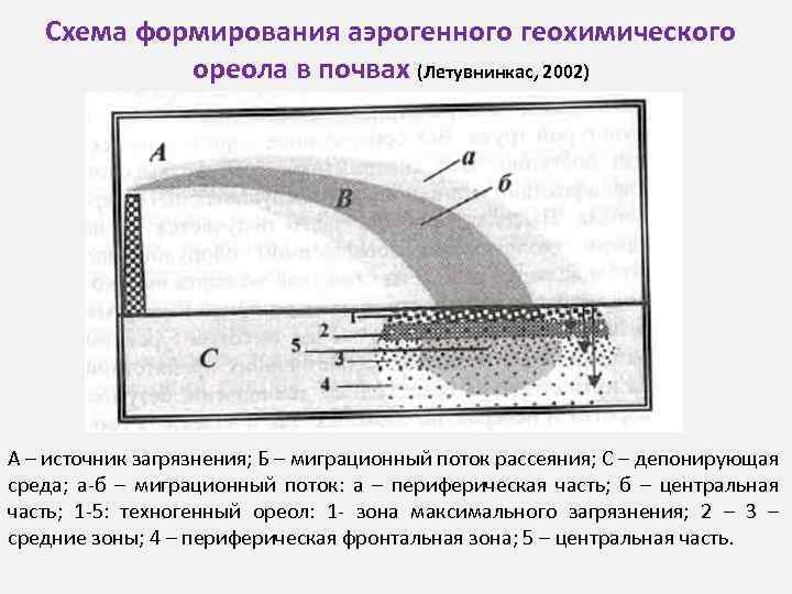 Схема формирования аэрогенного геохимического ореола в почвах (Летувнинкас, 2002) А – источник загрязнения; Б