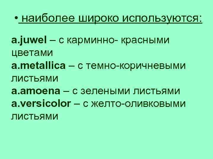  • наиболее широко используются: a. juwel – с карминно- красными цветами a. metallica