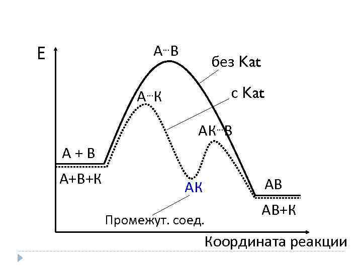 Е А …В без Kat с Kat А …К АК…В А+В+К АВ АК Промежут.