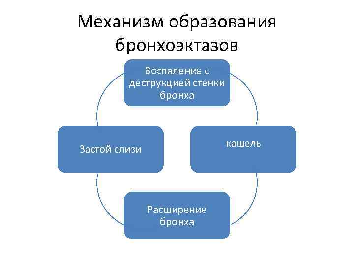 Механизм образования бронхоэктазов Воспаление с деструкцией стенки бронха кашель Застой слизи Расширение бронха 