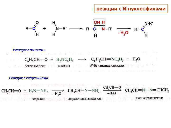 реакции с N-нуклеофилами Реакция с аминами Реакция с гидразинами 
