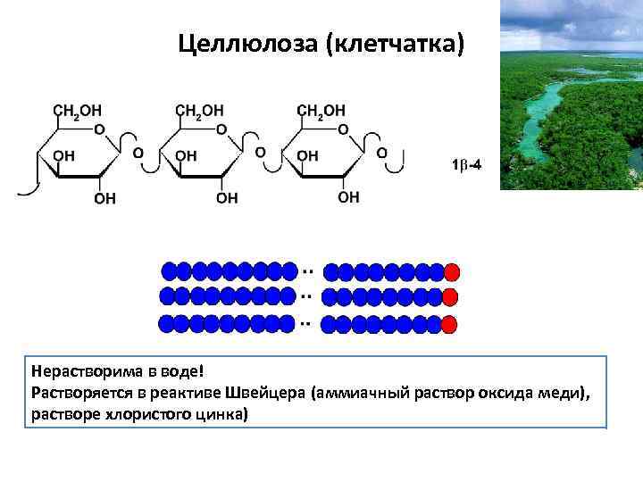Целлюлоза (клетчатка) Нерастворима в воде! Растворяется в реактиве Швейцера (аммиачный раствор оксида меди), растворе
