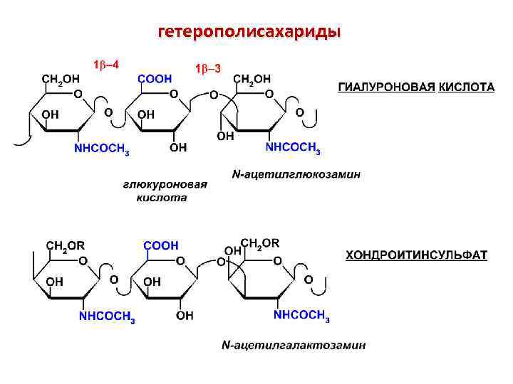гетерополисахариды 
