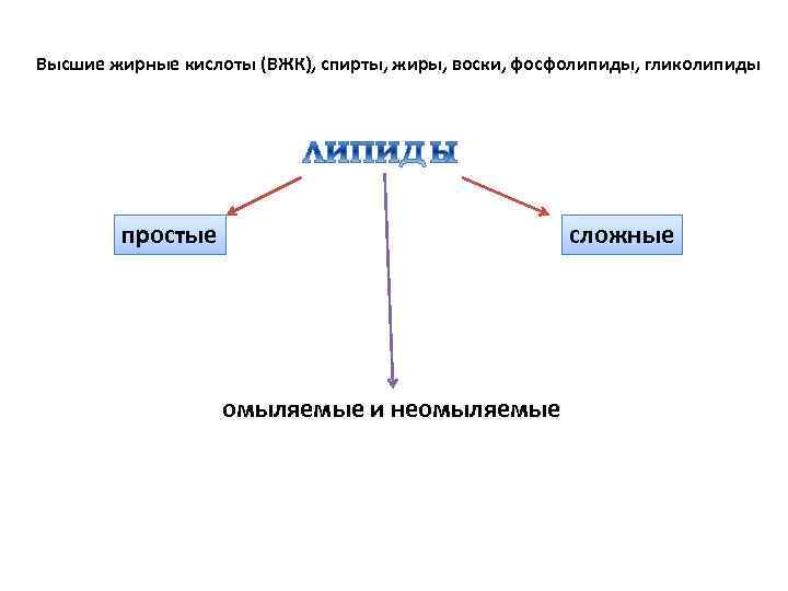 Высшие жирные кислоты (ВЖК), спирты, жиры, воски, фосфолипиды, гликолипиды простые сложные омыляемые и неомыляемые