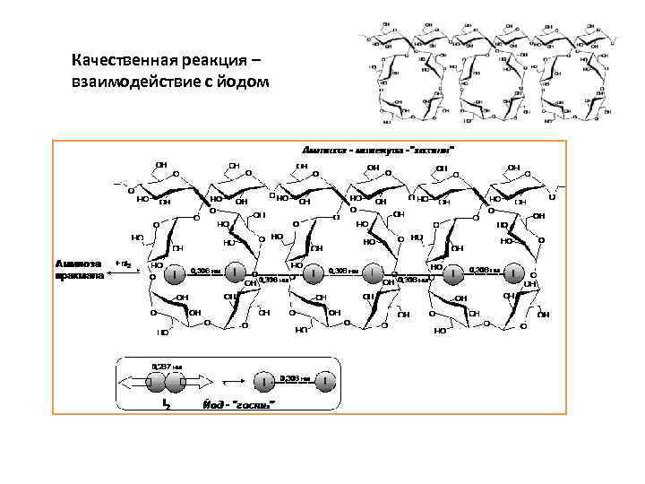 Качественная реакция – взаимодействие с йодом 