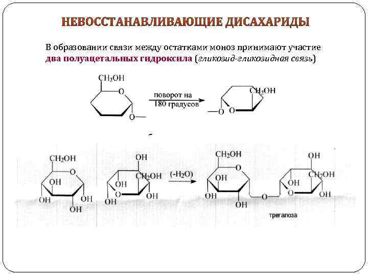 В образовании связи между остатками моноз принимают участие два полуацетальных гидроксила (гликозид-гликозидная связь) 