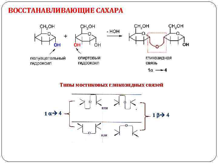 ВОССТАНАВЛИВАЮЩИЕ САХАРА Типы мостиковых гликозидных связей 1 a 4 1 4 