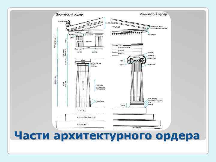 Части архитектурного ордера 