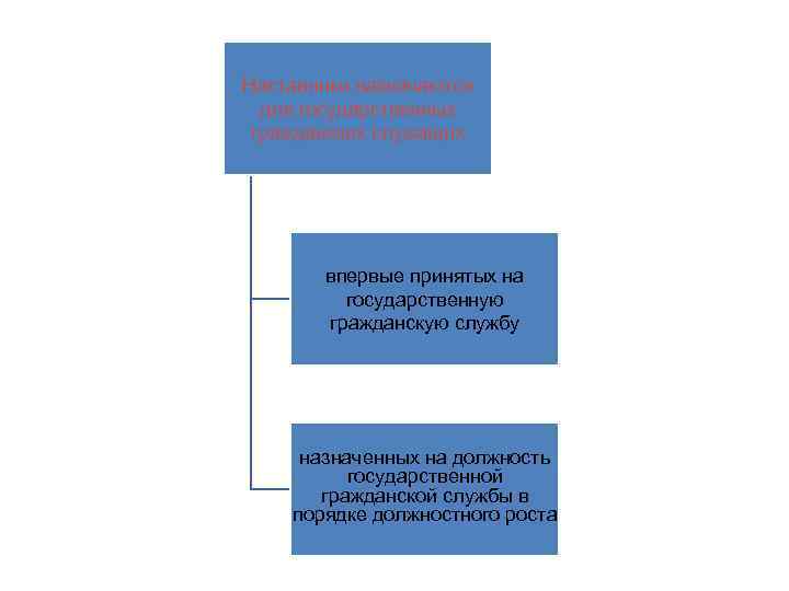 Наставники назначаются для государственных гражданских служащих впервые принятых на государственную гражданскую службу назначенных на
