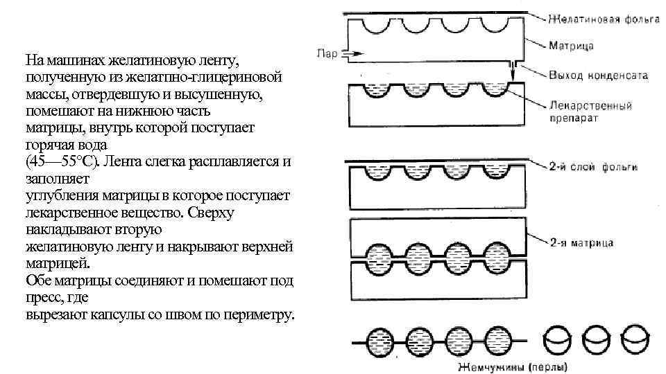 На машинах желатиновую ленту, полученную из желатпно-глицериновой массы, отвердевшую и высушенную, помешают на нижнюю