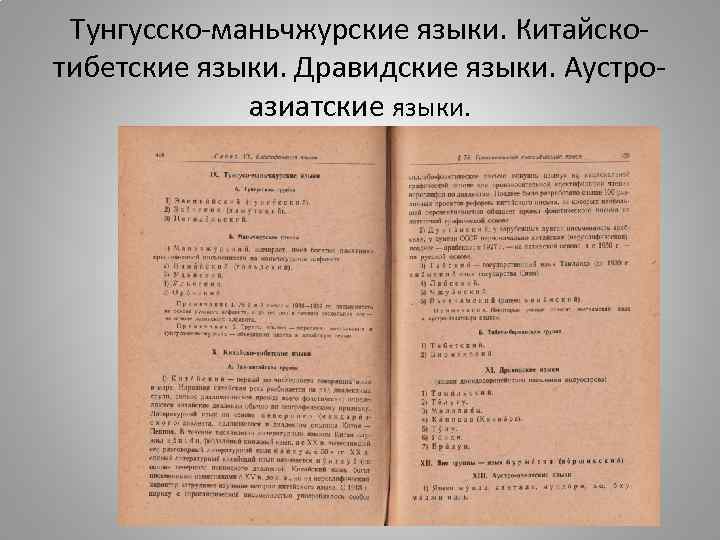 Тунгусско-маньчжурские языки. Китайскотибетские языки. Дравидские языки. Аустроазиатские языки. 