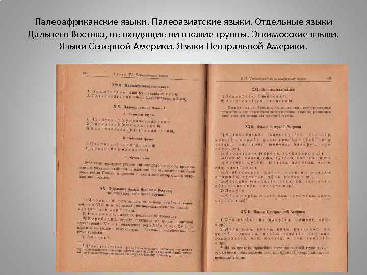 Палеоафриканские языки. Палеоазиатские языки. Отдельные языки Дальнего Востока, не входящие ни в какие группы.