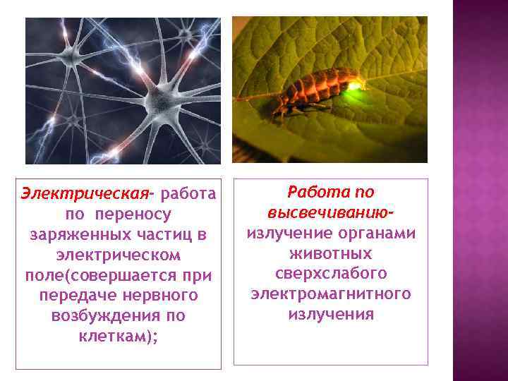 Электрическая- работа по переносу заряженных частиц в электрическом поле(совершается при передаче нервного возбуждения по