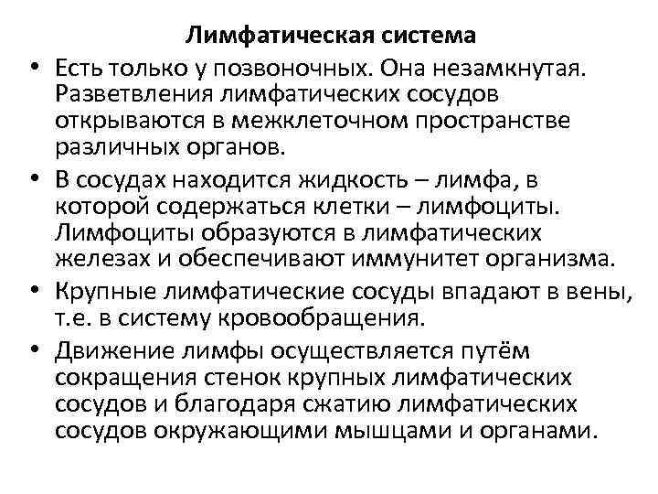  • • Лимфатическая система Есть только у позвоночных. Она незамкнутая. Разветвления лимфатических сосудов