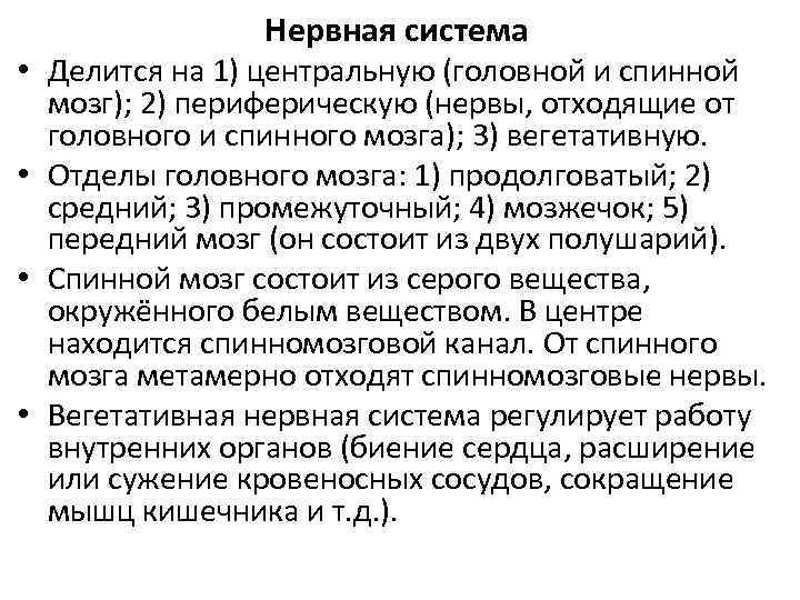 Нервная система • Делится на 1) центральную (головной и спинной мозг); 2) периферическую (нервы,