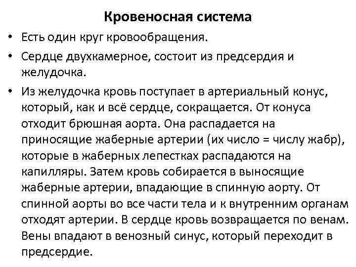 Кровеносная система • Есть один круг кровообращения. • Сердце двухкамерное, состоит из предсердия и