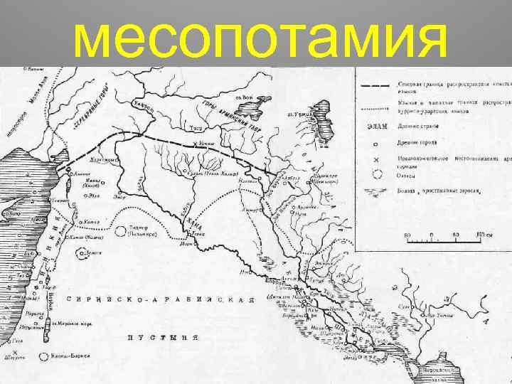 месопотамия 