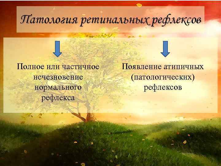 Патология ретинальных рефлексов Полное или частичное исчезновение нормального рефлекса Появление атипичных (патологических) рефлексов 