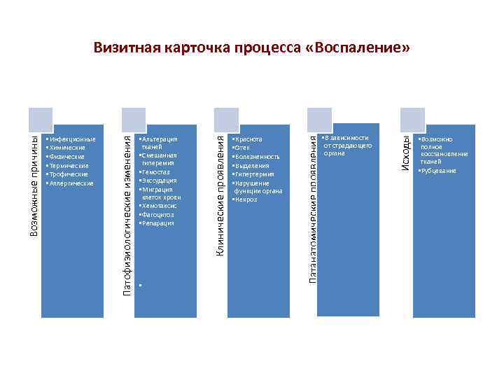  • • В зависимости от страдающего органа Исходы • Краснота • Отек •