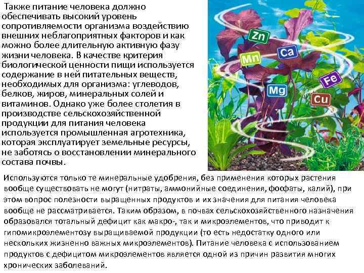 Также питание человека должно обеспечивать высокий уровень сопротивляемости организма воздействию внешних неблагоприятных факторов и