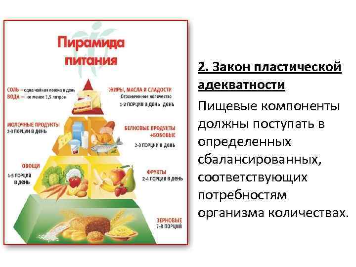 2. Закон пластической адекватности Пищевые компоненты должны поступать в определенных сбалансированных, соответствующих потребностям организма