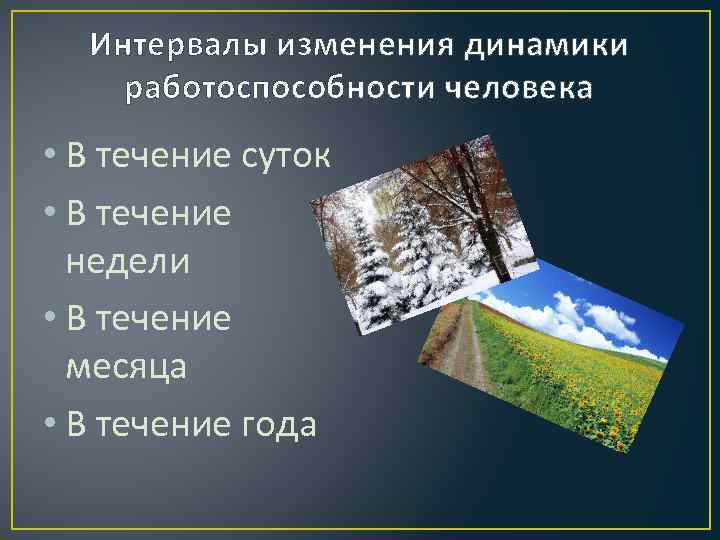 Интервалы изменения динамики работоспособности человека • В течение суток • В течение недели •