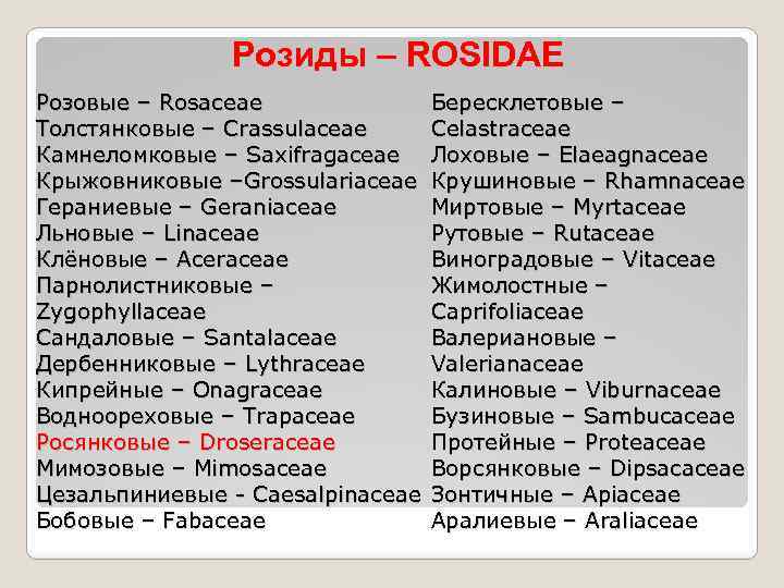 Розиды – ROSIDAE Розовые – Rosaceae Толстянковые – Crassulaceae Камнеломковые – Saxifragaceae Крыжовниковые –Grossulariaceae