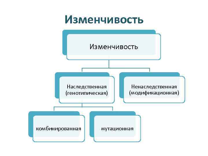 Причины наследственной изменчивости. Изменчивость наследственная и ненаследственная. Наследственная изменчивость и ненаследственная изменчивость. Изменчивость делится на наследственную и ненаследственную. Изменчивость наследственная и ненаследственная заключение.