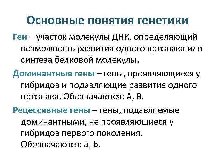 Основные понятия генетики Ген – участок молекулы ДНК, определяющий возможность развития одного признака или