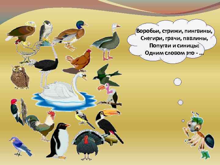 Воробьи, стрижи, пингвины, Снегири, грачи, павлины, Попугаи и синицы: Одним словом это -. .