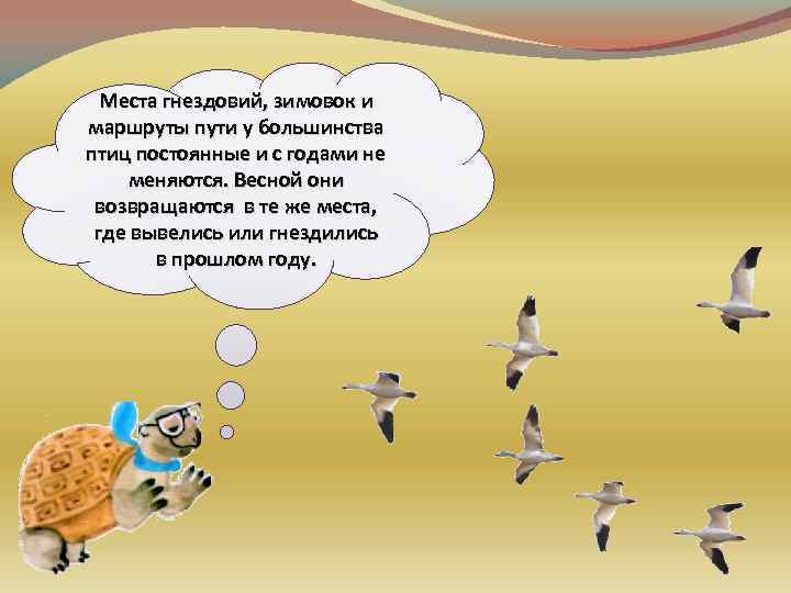 Места гнездовий, зимовок и маршруты пути у большинства птиц постоянные и с годами не