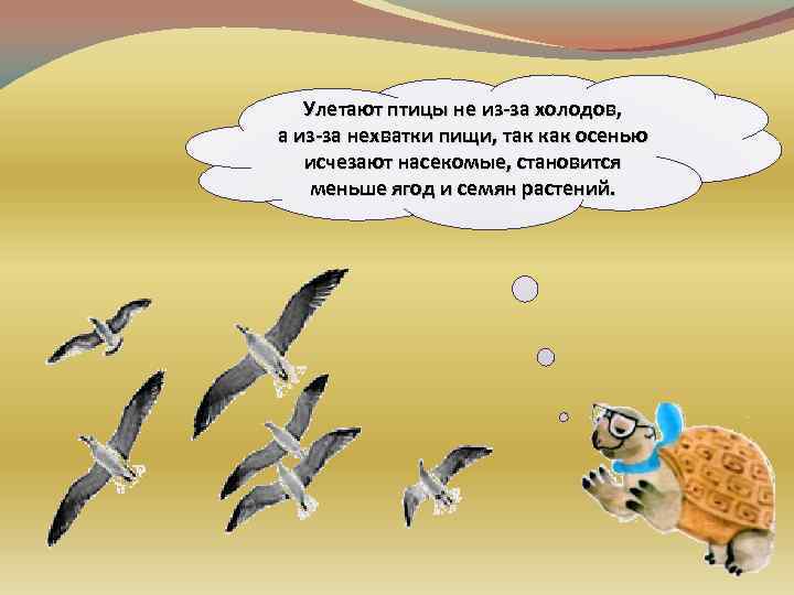 Улетают птицы не из-за холодов, а из-за нехватки пищи, так как осенью исчезают насекомые,