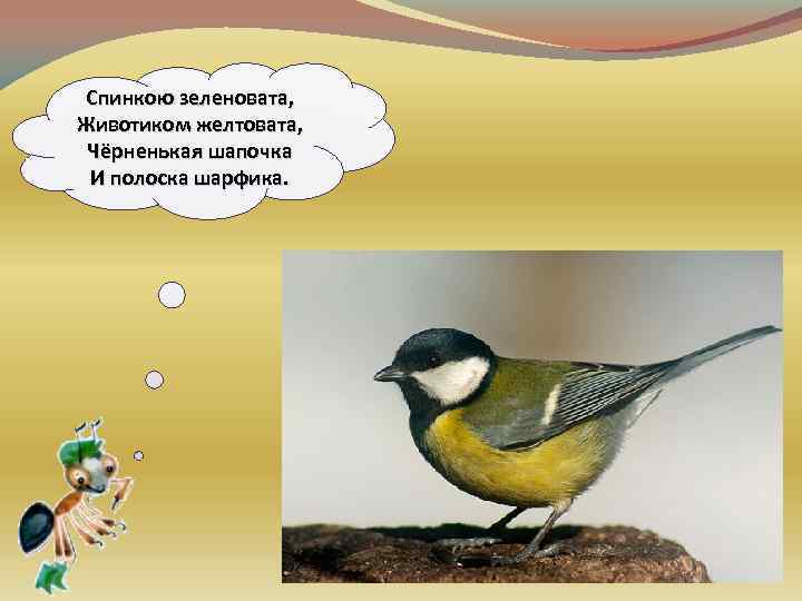 Спинкою зеленовата, Животиком желтовата, Чёрненькая шапочка И полоска шарфика. 