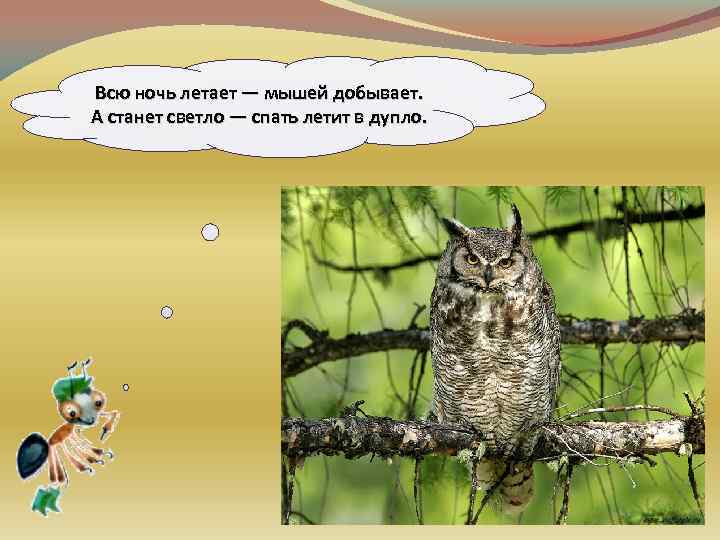 Всю ночь летает — мышей добывает. А станет светло — спать летит в дупло.