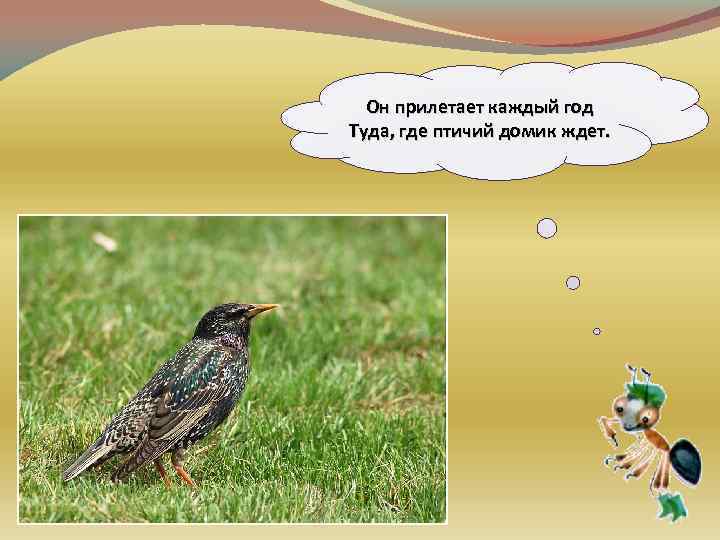 Он прилетает каждый год Туда, где птичий домик ждет. 