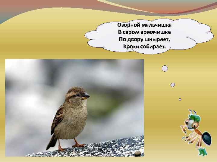 Озорной мальчишка В сером армячишке По двору шныряет, Крохи собирает. 