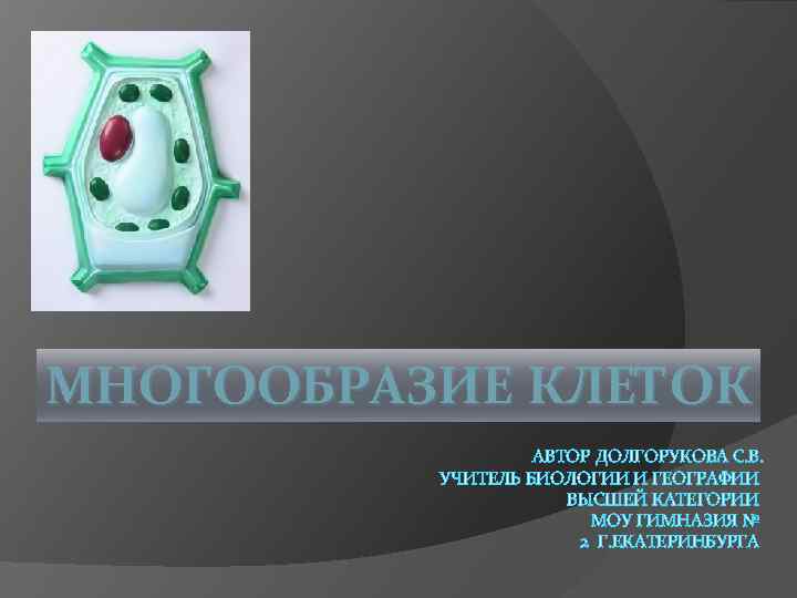 МНОГООБРАЗИЕ КЛЕТОК АВТОР ДОЛГОРУКОВА С. В. УЧИТЕЛЬ БИОЛОГИИ И ГЕОГРАФИИ ВЫСШЕЙ КАТЕГОРИИ МОУ ГИМНАЗИЯ