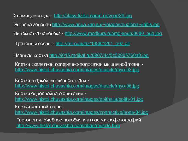 Хламидомонада - http: //class-fizika. narod. ru/vopr/20. jpg Эвглена зеленая http: //www. aqua. xan. su/~images/euglena-viridis.